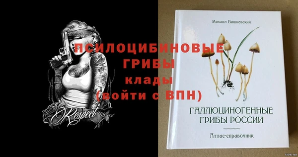 хмурый Медвежьегорск