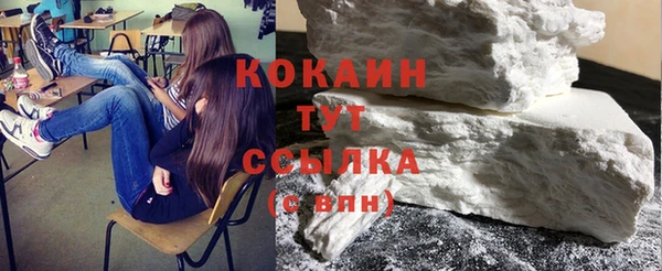 стаф Дубна