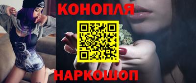 спиды Гай