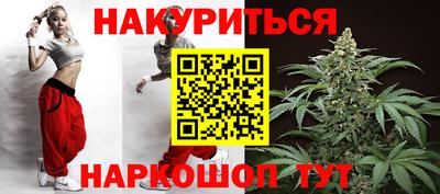 спиды Гай