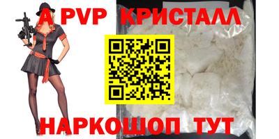 спиды Гай