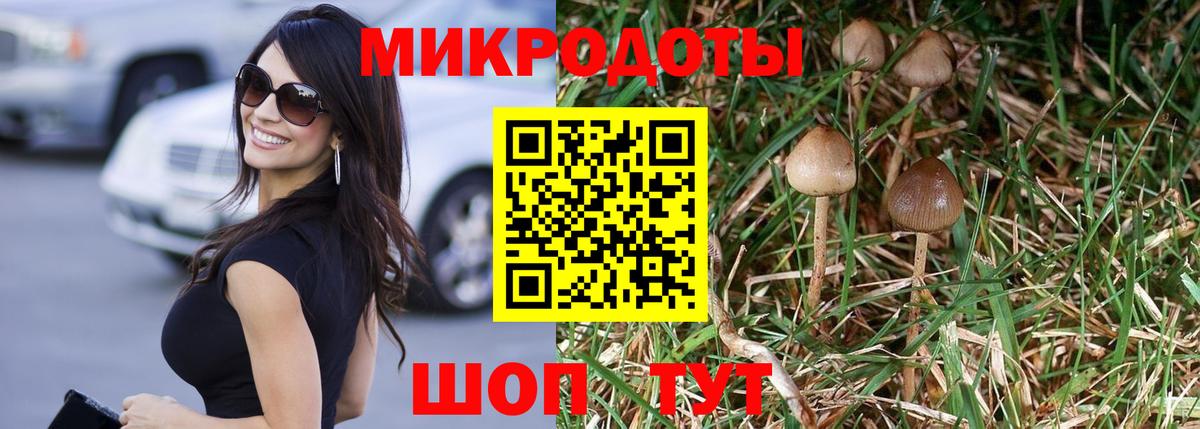 Галлюциногенные грибы Cubensis Кандалакша